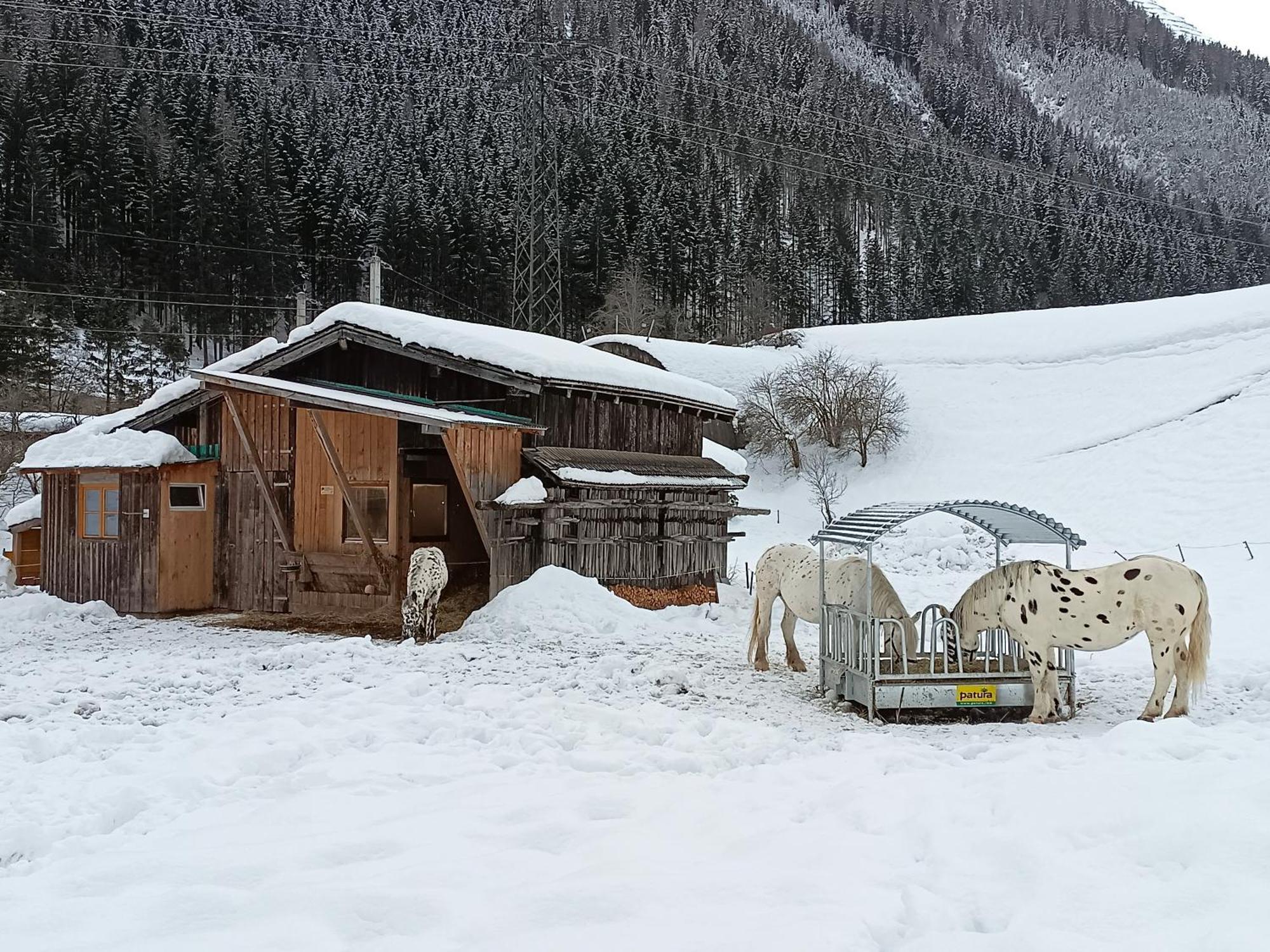 Burgerhof Villa Pettneu am Arlberg Buitenkant foto